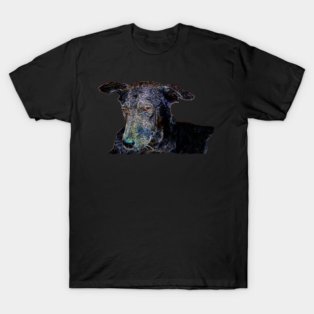 dog T-Shirt by rickylabellevie